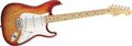 buy electric guitars strat